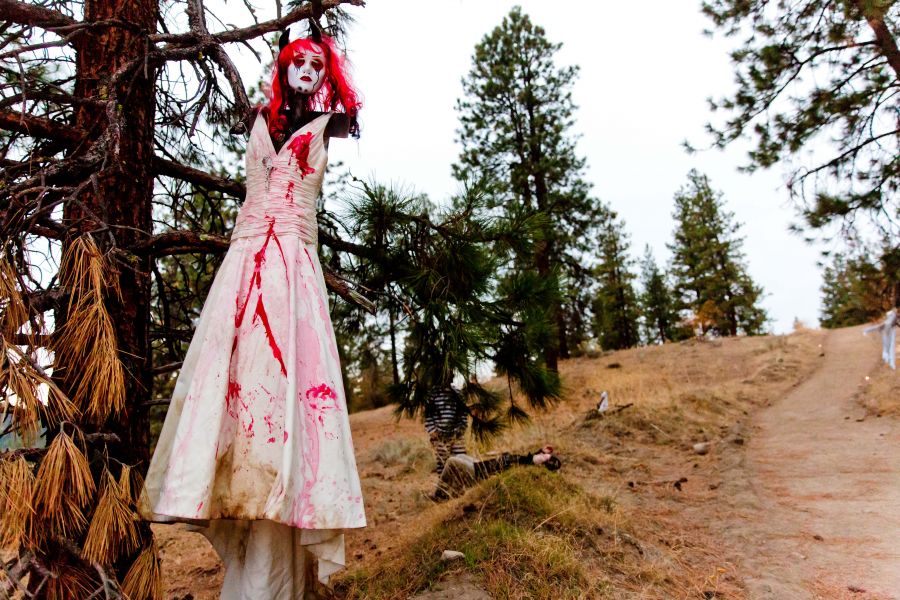 <who>Photo Credit: NowMedia/Gord Goble</who> Wildhorse at Halloween