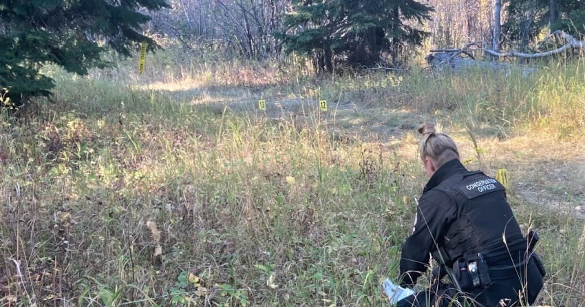 UPDATE: 3 people injured in bear attack in northeast BC, public reminded to stay ‘bear aware’