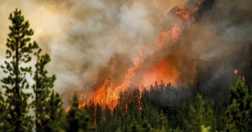 BC crews hopeful of forecasted heavy rain dampening massive Donnie Creek wildfire