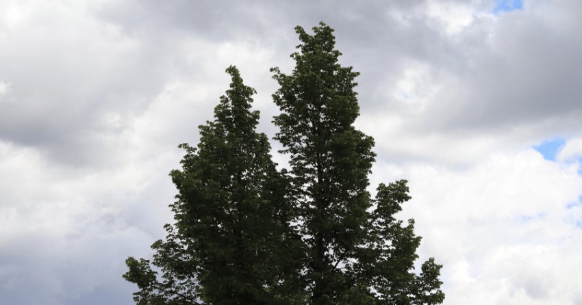Kelowna weather: A few showers with a mix of sun and cloud