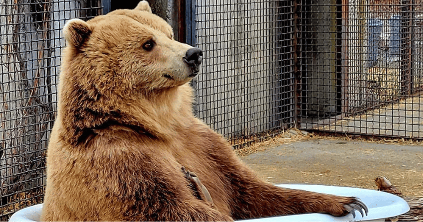 The Best Tourist Attraction in Kamloops, as voted by you!
