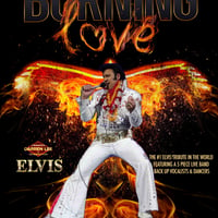 Burning Love - Darren Lee as Elvis