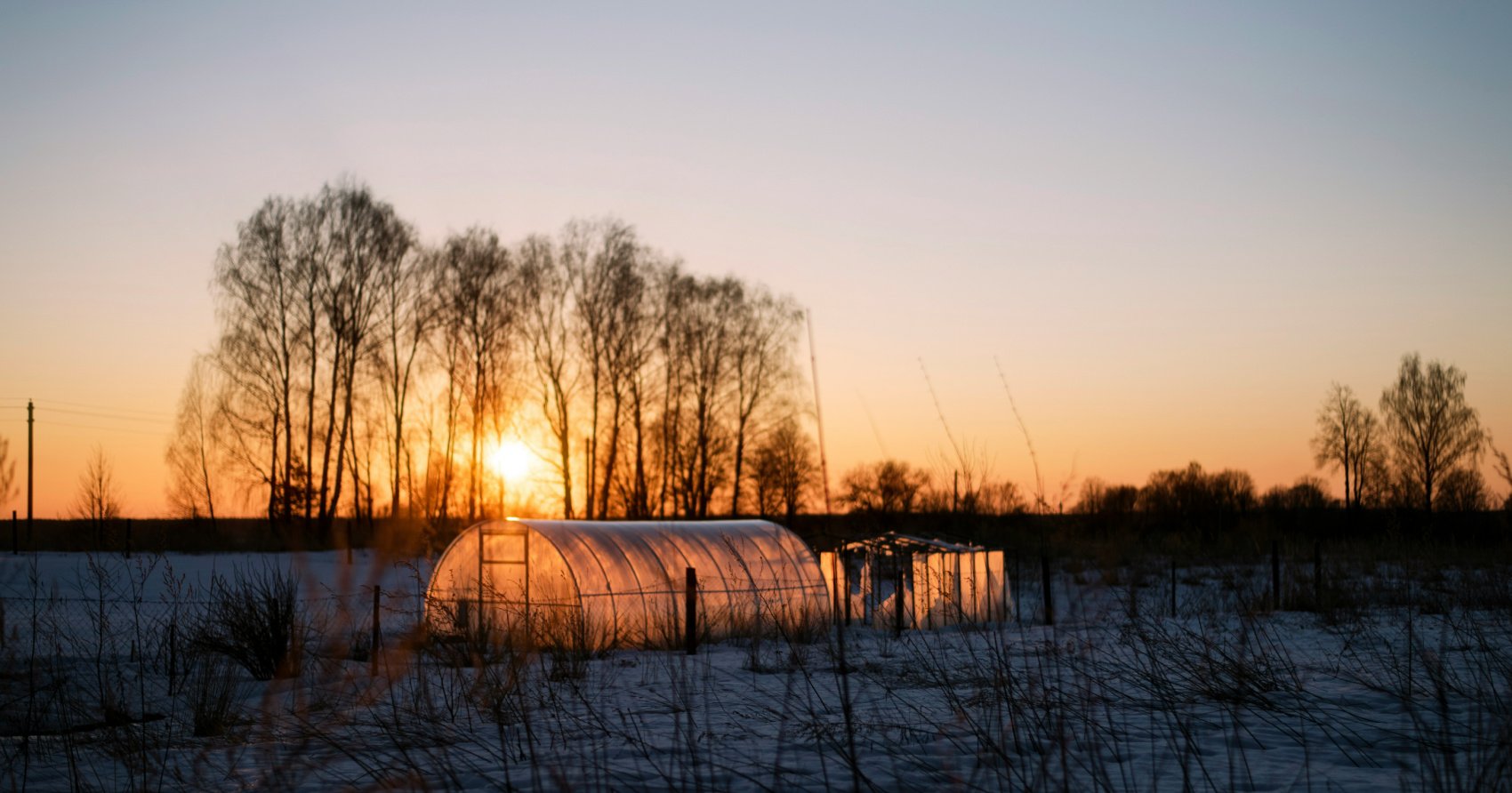 Historic and recent records fall as warm January temps continue in BC