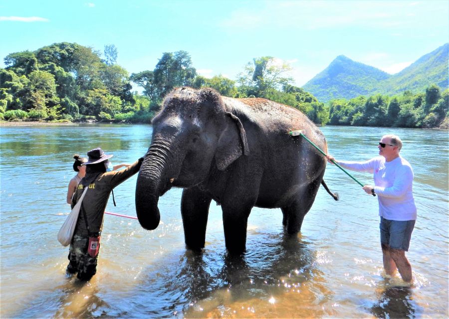 </who>Elephant scrub down in the River Kwai.
