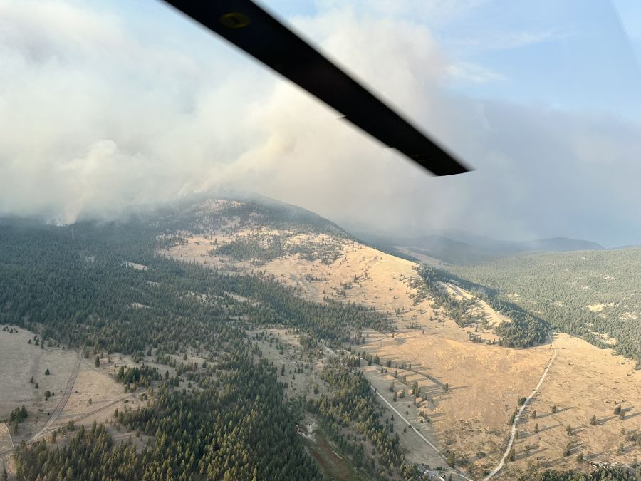 <who>Photo Credit: BC Wildfire Service</who>Shingle Creek looking north on Monday afternoon.