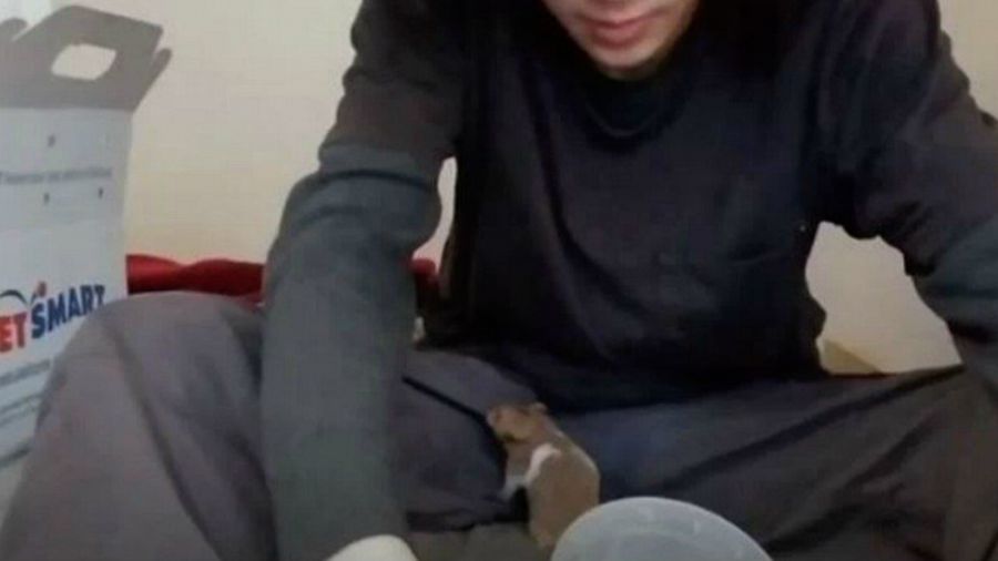 <who>Photo credit: PETA </who> 