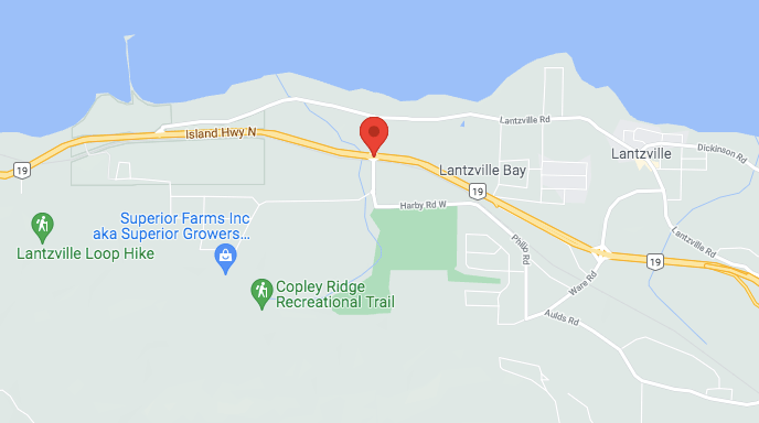 <who>Google maps
