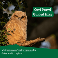 Owl Prowl - Guided Hike