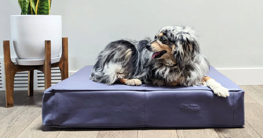 Contest Closed! Win an orthopaedic leather dog bed from Le Dog Company