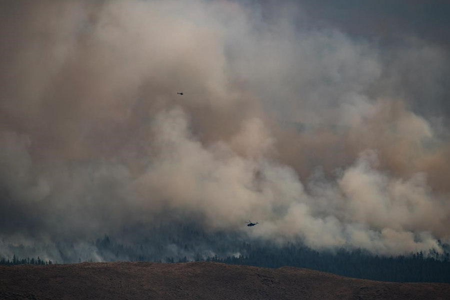 <who> Photo credit: Canadian Press