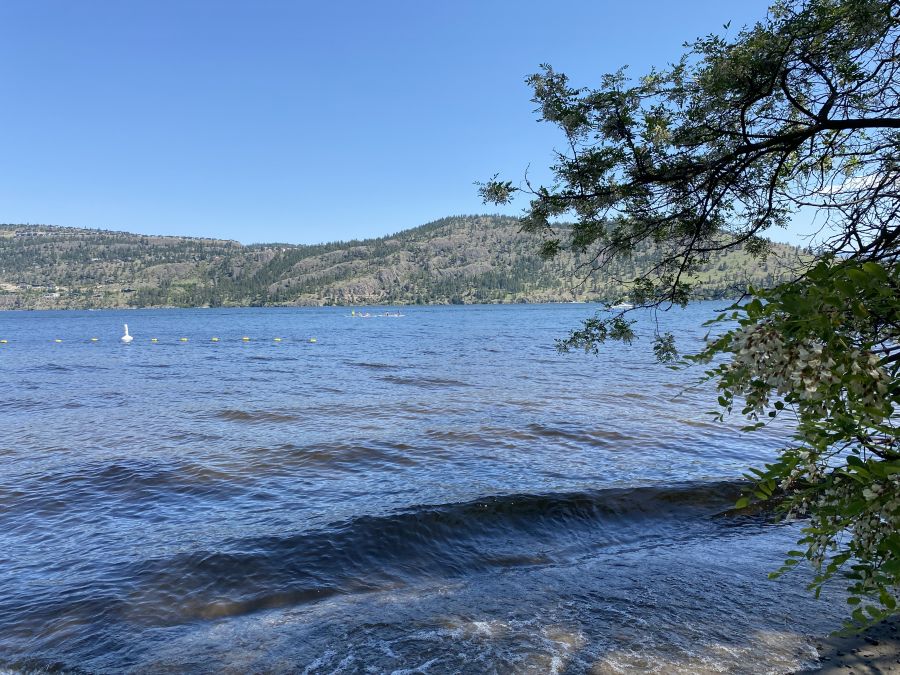 <who>Photo Credit: KelownaNow