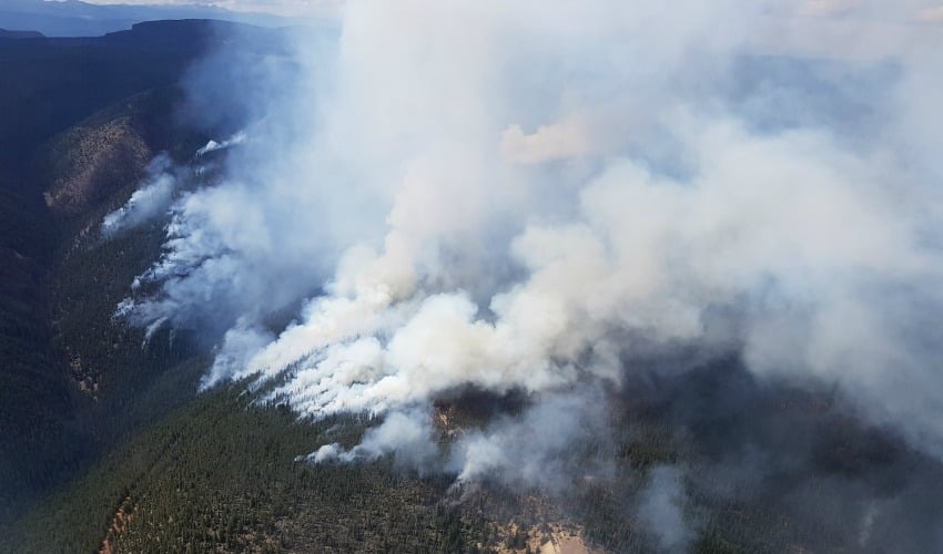 <who>Photo Credit: BC Wildfire Service</who>Placer Mountain wildfire