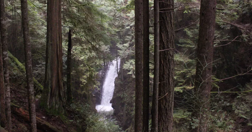 <who> Photo Credit: Vancouver Trails </who> Cypress Falls Park is located off Highway 99 in West Vancouver.
