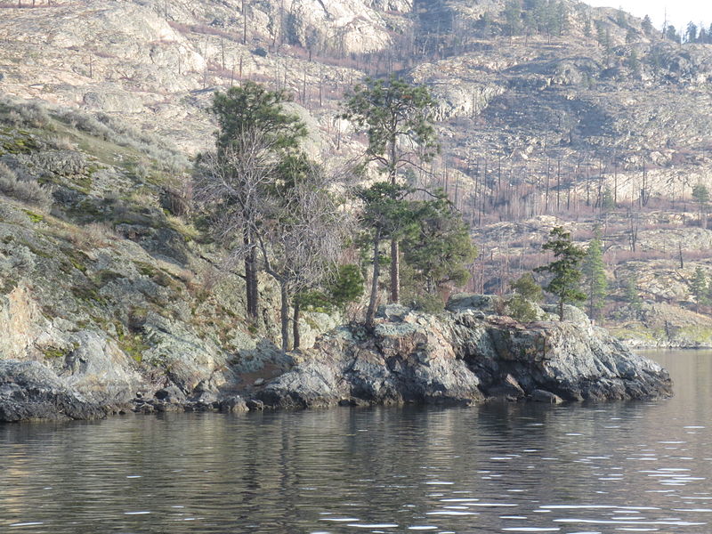 <who> Photo Credit: Wiki Commons. </who> Damage after the Okanagan Mountain Park fire. 