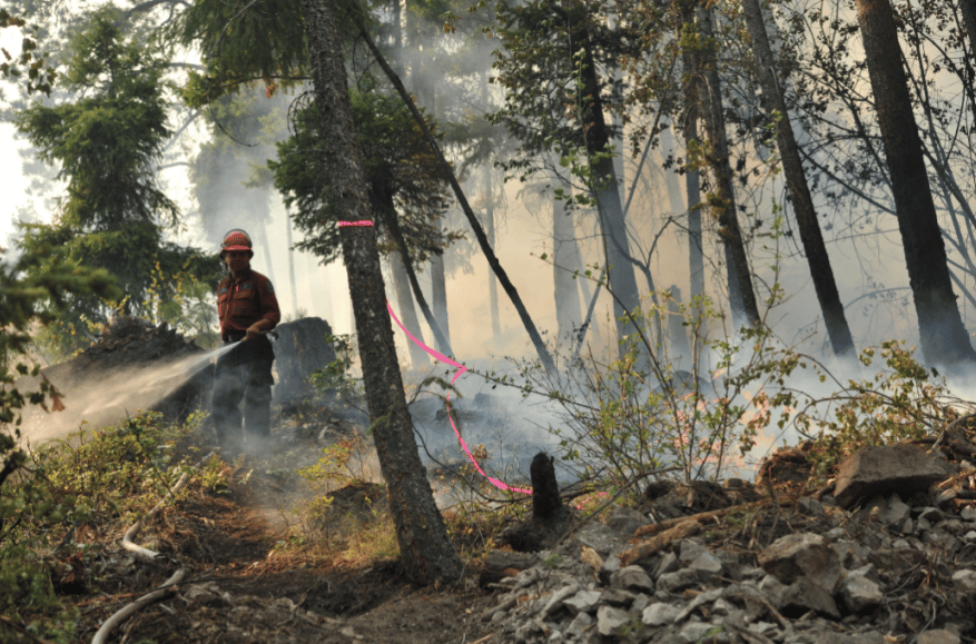 <who> Photo Credit: BCWS