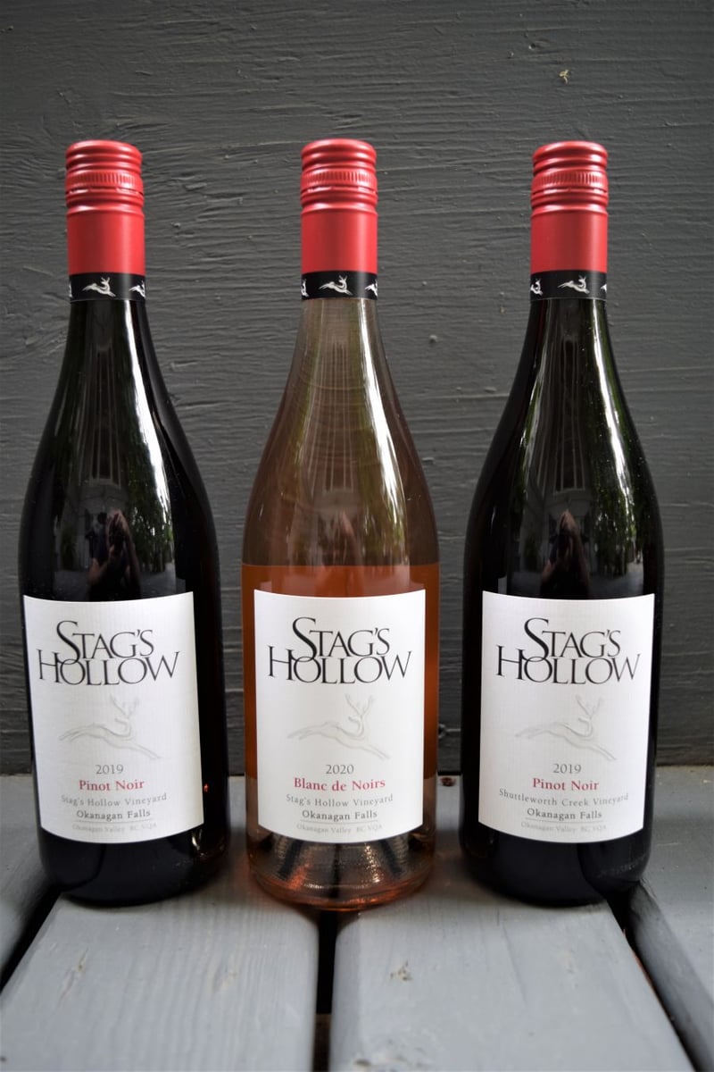 </who>Stag's Hollow Winery in Okanagan Falls is picking the Pinot Noir grapes this week that will end up in its vineyard-specific Pinot red wines and Blanc de Noirs rose.