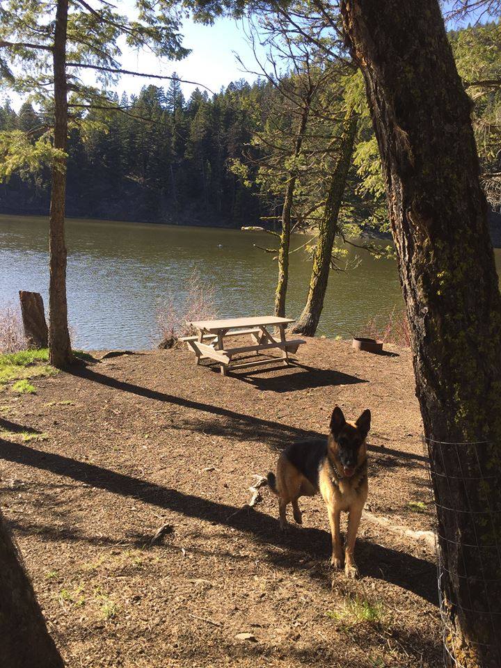 <who> Photo Credit: Pinaus Lake Resort </who> The campground is family run which means it's off the visitor radar.