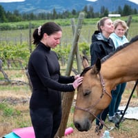 Yoga &amp; Horse Meditation Among the Vines at The View Winery!!