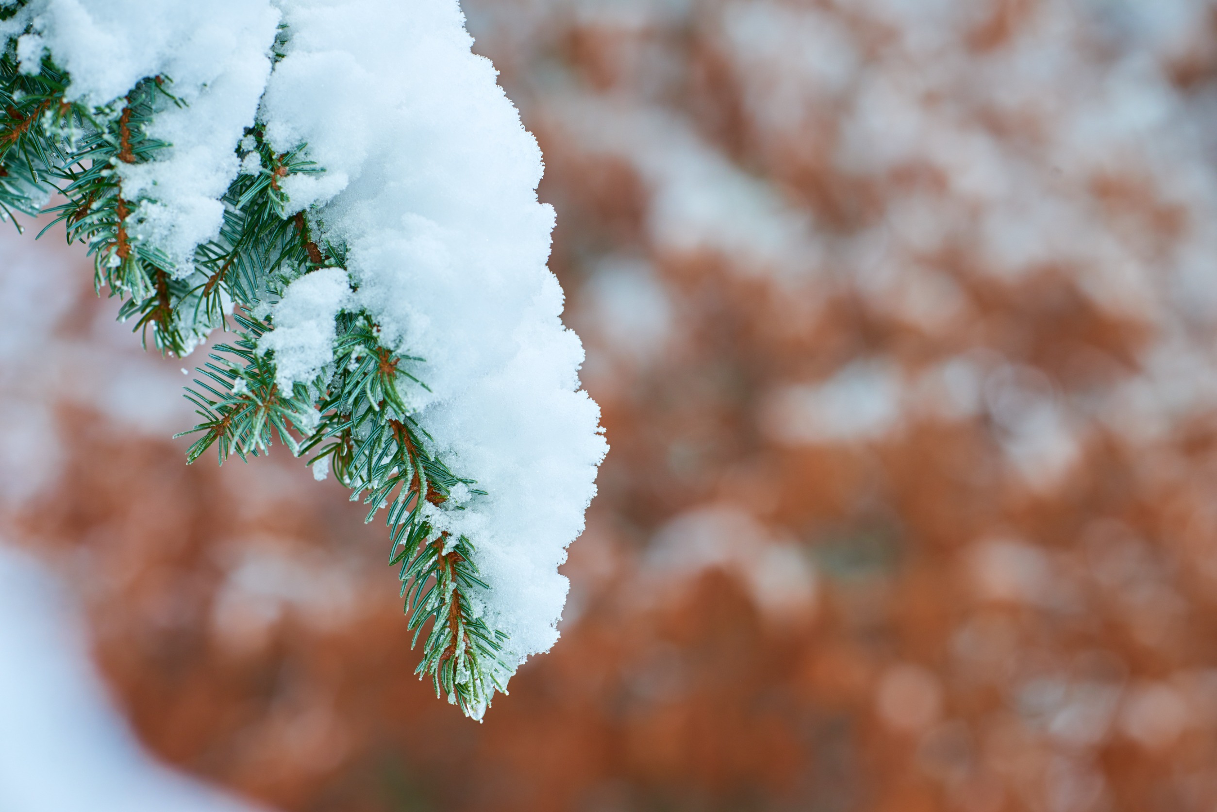 Temperature records broken for Victoria, other Island communities