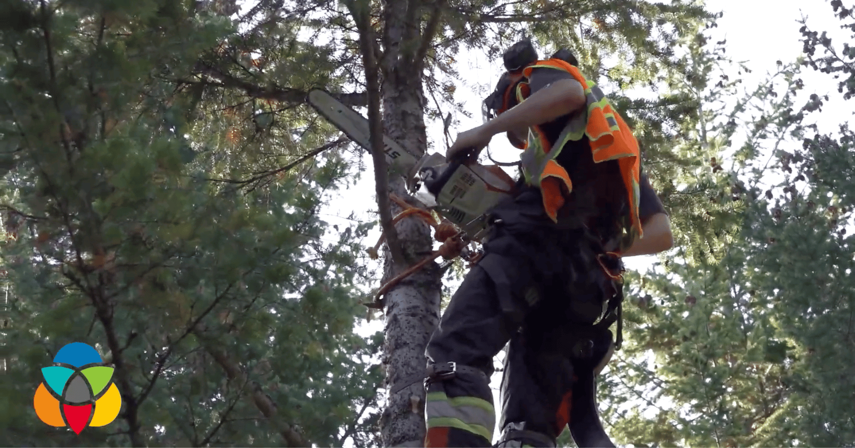 VIDEO: Taking the classroom to the forest in this innovative high school program