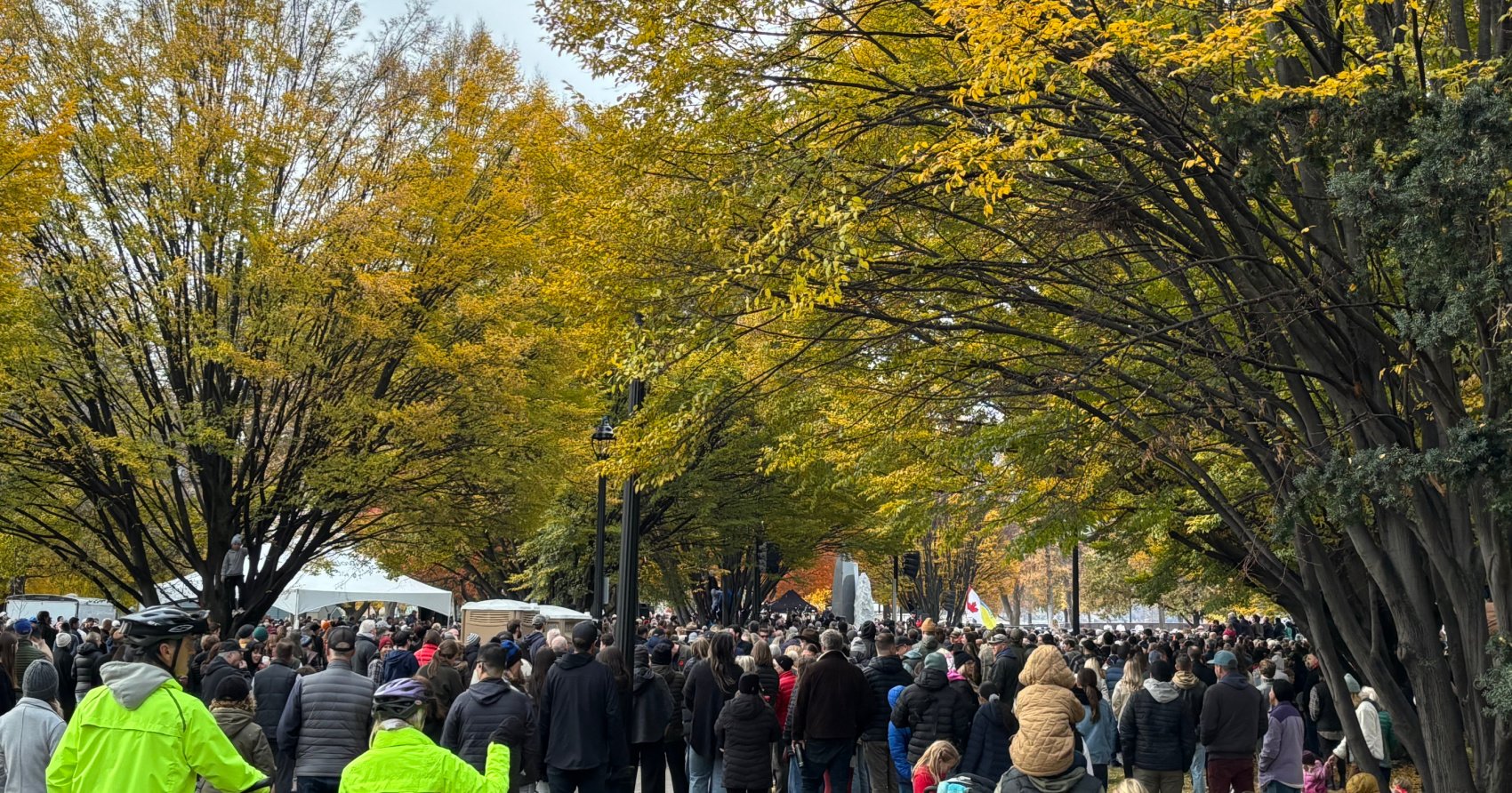 REPLAY: Kelowna’s Remembrance Day ceremony at the City Park Cenotaph