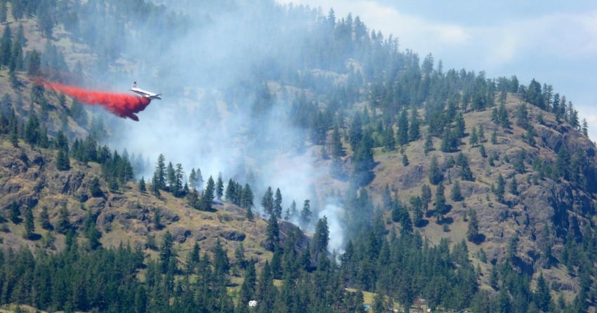 UPDATE: Blue Grouse Mountain fire stays at 2 hectares overnight but is ...