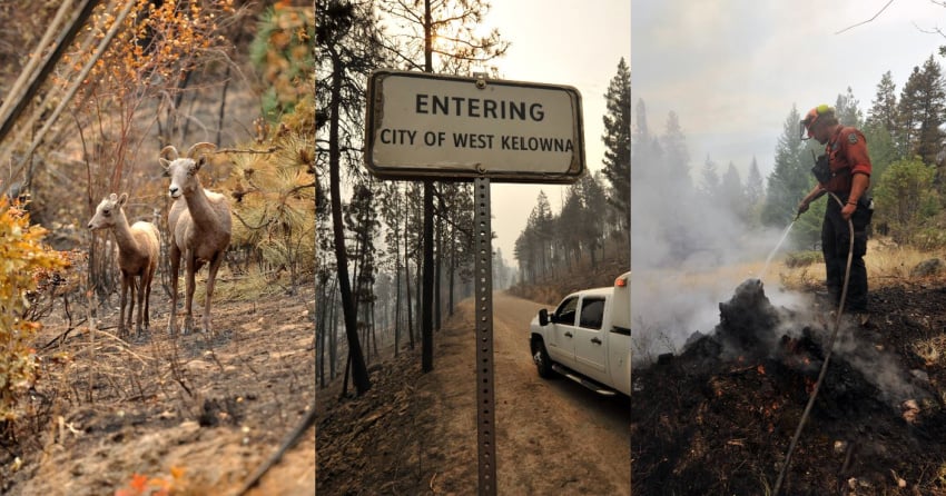 PHOTOS: Views from the front lines of the McDougall Creek wildfire