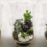 Terrarium Workshop @ Lakehouse Kitchens