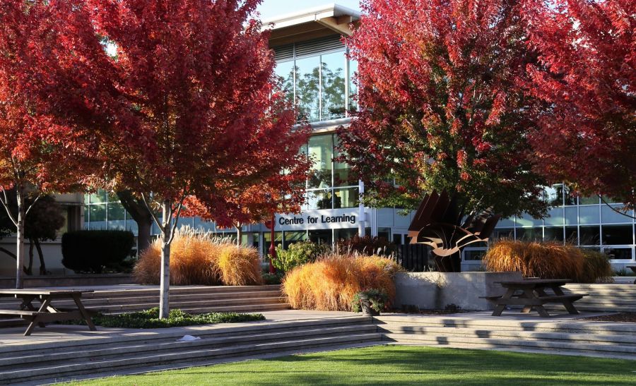 <who>Photo Credit: KelownaNow</who>