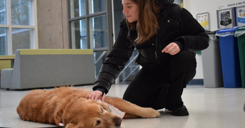 Camosun students find ‘pawfect’ way to relax during dog days of semester