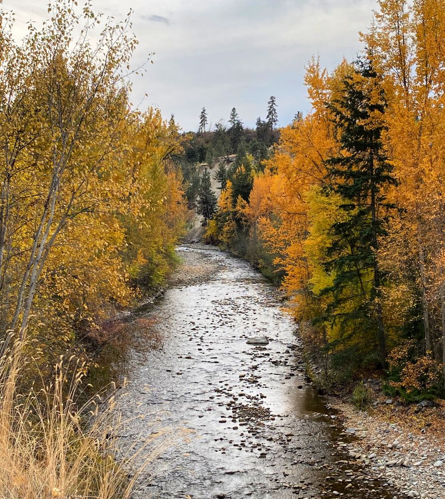 This shot was taken by a member of the newsroom, but the rest of the photos in this story are from our readers!