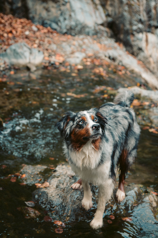 <who> Photo Credit: Donald Dillman