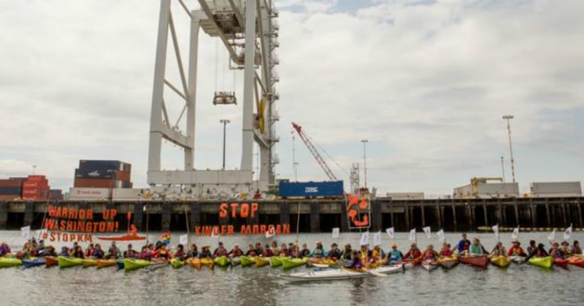 <who>Photo Credit: Greenpeace/Em Cassidy