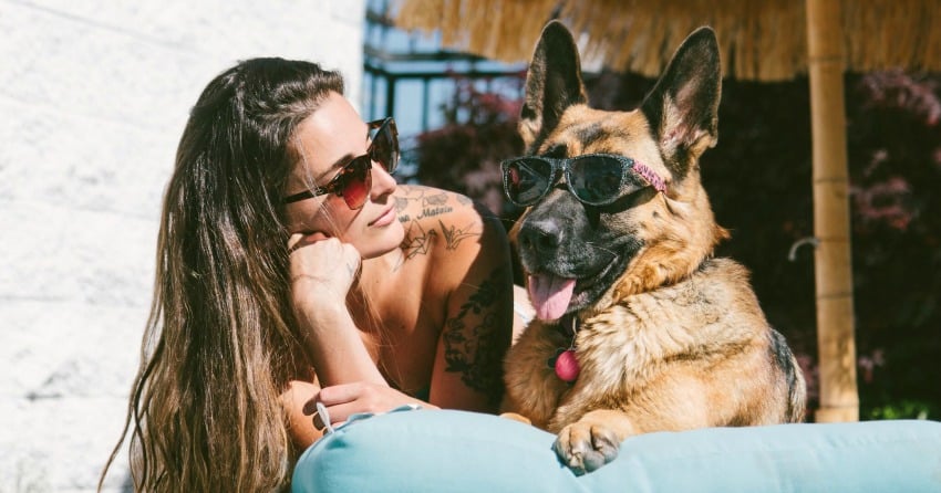 Do’s and dont’s to ensure your pet has the best summer ever