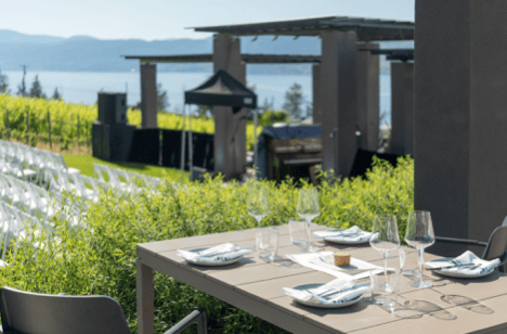 An Inside Look at the Sunset Concert Night at CedarCreek Estate Winery