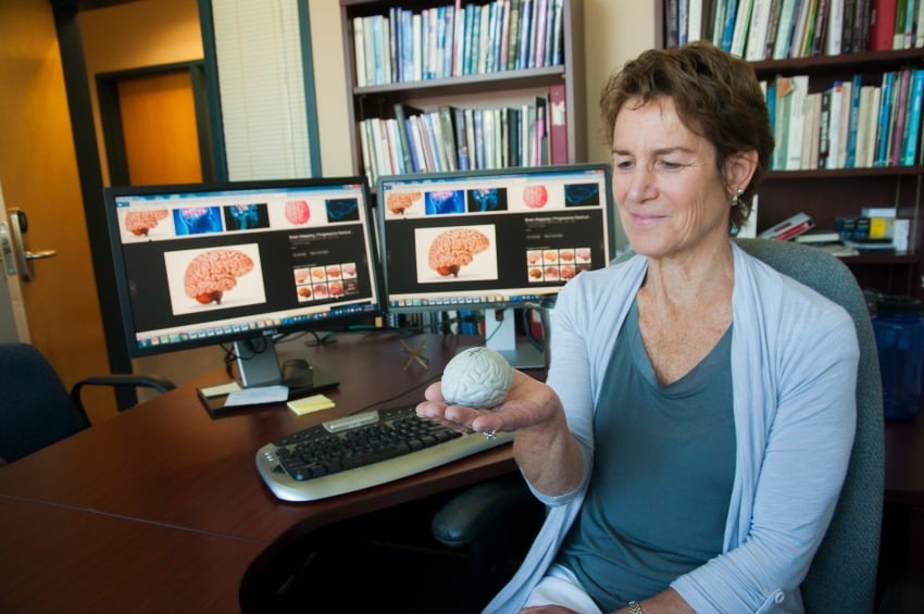 <who> Photo Credit: UBCO </who> UBC's Barbara Rutherford has been examining research that compares how both sides of the brain work together. And when they don't. 