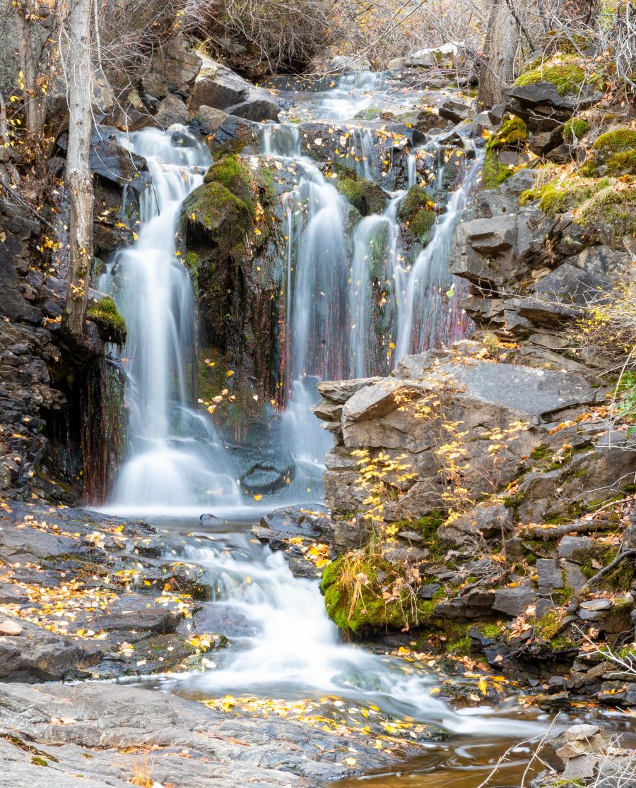<who>Photo Credit: NowMedia/Gord Goble</who> An idyllic Chute Creek as it approaches the area under scrutiny