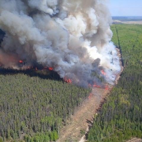 Burn out operations, Beatton Airport Road fire.