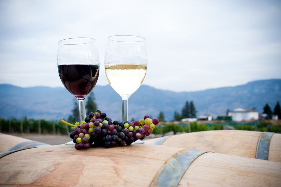 <who>Photo Credit: Kalala Organic Estate Winery</who>