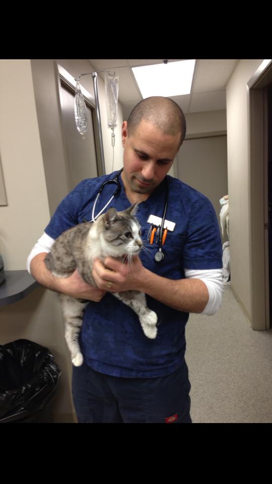 <who> Photo Credit: Rose Valley Veterinary Hospital. <who> Dr. Oz with one of his feline patients. 