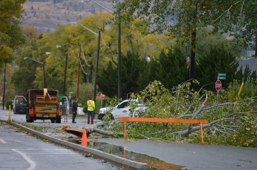 Trees down along Schubert Drive near Evans Avenue and Birch Avenue. Photo: KamloopsBCNow.