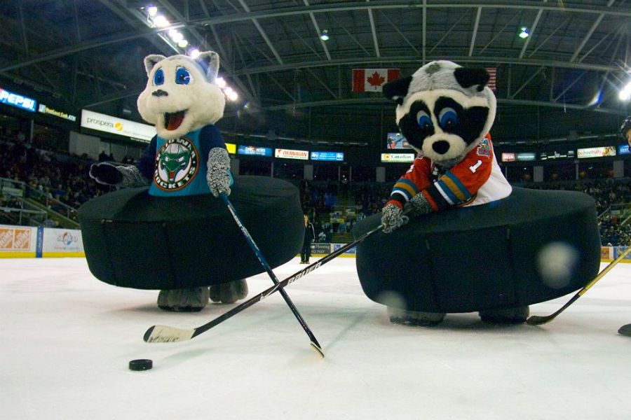 <who> Photo Credit: Rocky the Raccoon's Facebook.