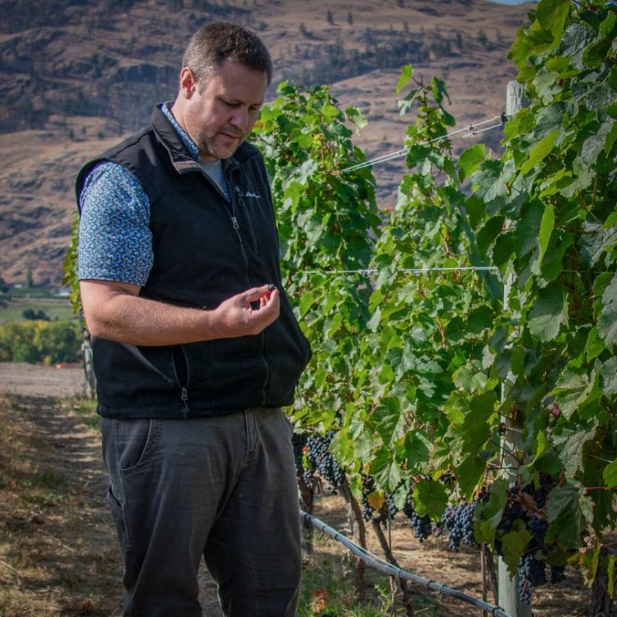 The owners of Phantom Creek Estates Winery have applied to build a new restaurant at its facility when it opens next spring and has applied for a non-farm use exemption on agricutural land. A staff recommendation to the RDOS Board favours approving the application to the Agricultural Land Commission.