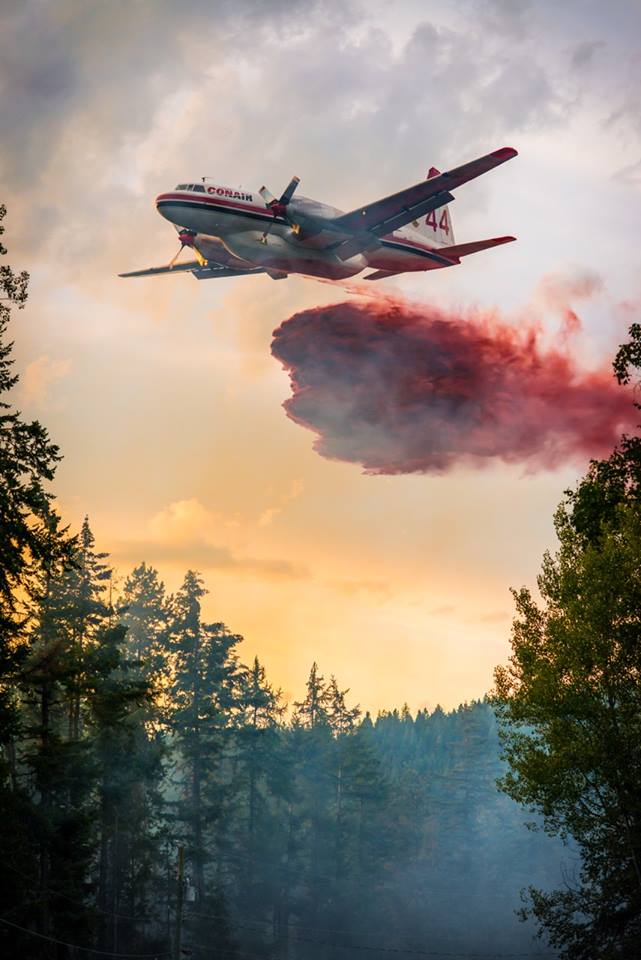 Photo Credit: BC Forest Fire Info/Facebook
