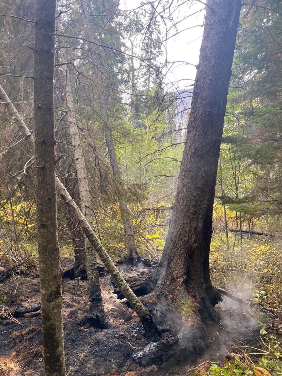</who>Photo credit: BCWS