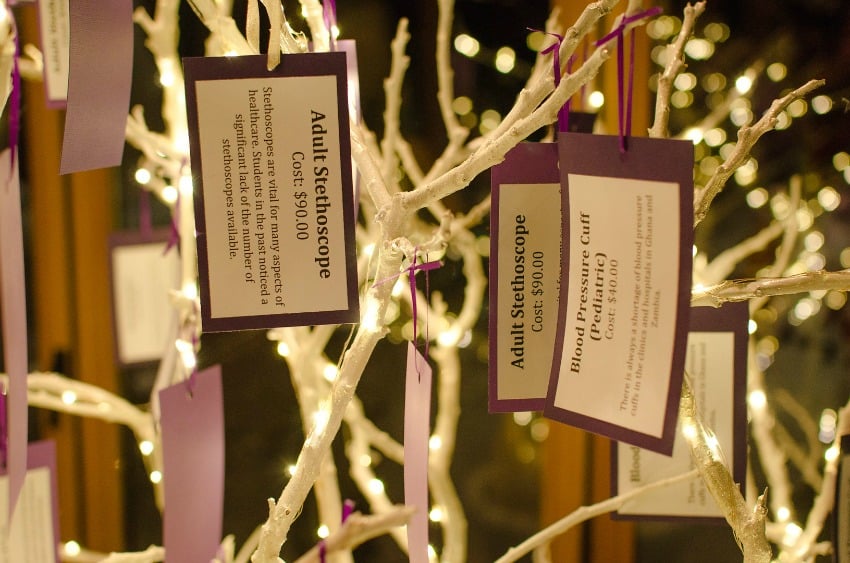 <who> Photo Credit: Global Gala website </who> Tags are hung on the giving tree with descriptions of items that donors can fund.