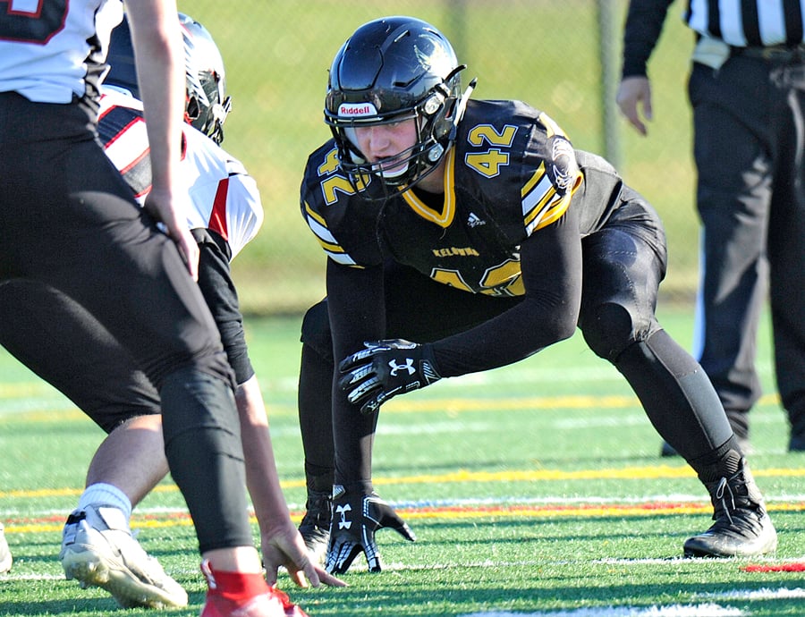 Everett Schmuland