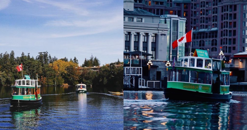 You can take a romantic cruise around Victoria’s Inner Harbour this Valentine’s Day