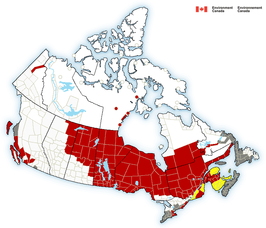 <who> Photo Credit: Environment Canada. 