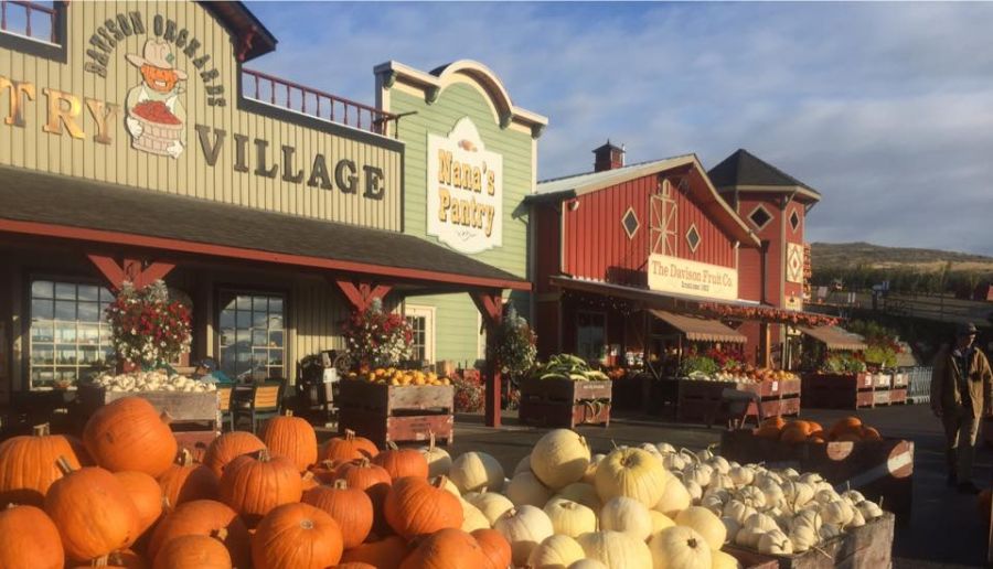 <who>Photo Credit: Davison Orchards</who>
